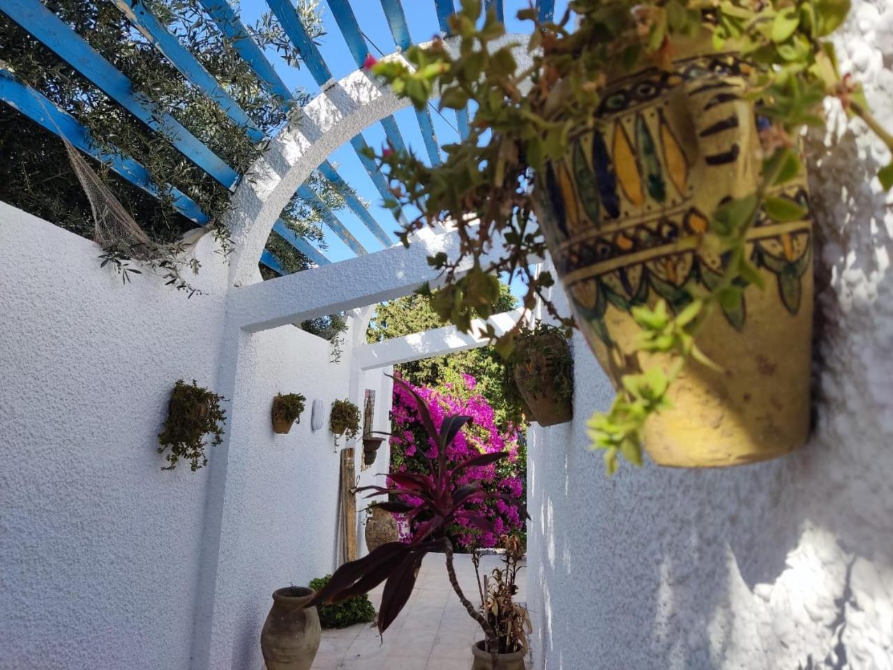 Dar Salama Bizerte Exteriér fotografie